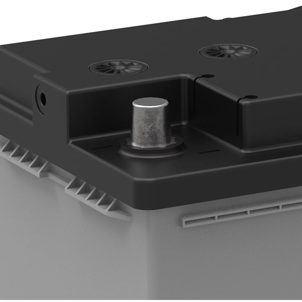 EverStart Platinum AGM Automotive Battery, Group Size H8 / LN5 / 49 12 Volt, 900 CCA 150 RC